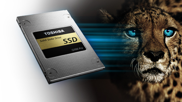 Toshiba Gets Flashy With Pro SSD Drives